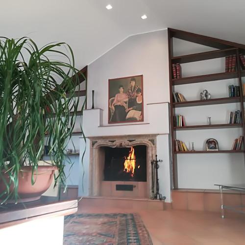 Image of Le ginestre