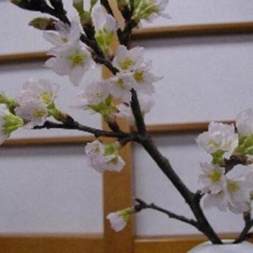 Image of Wakaba Ryokan / Vacation STAY 29366