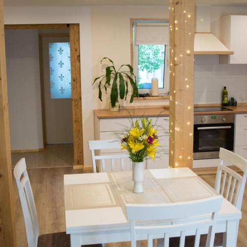 Image of LiisuPesa Apartment with Sauna and Garden