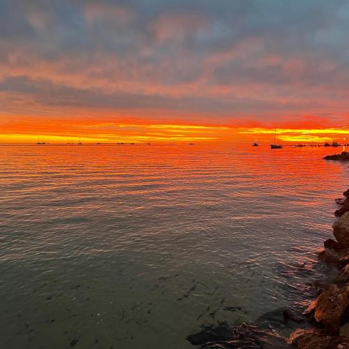 Image of Shark Bay Seafront Apartments