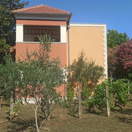 Image of Apartments Rolovina