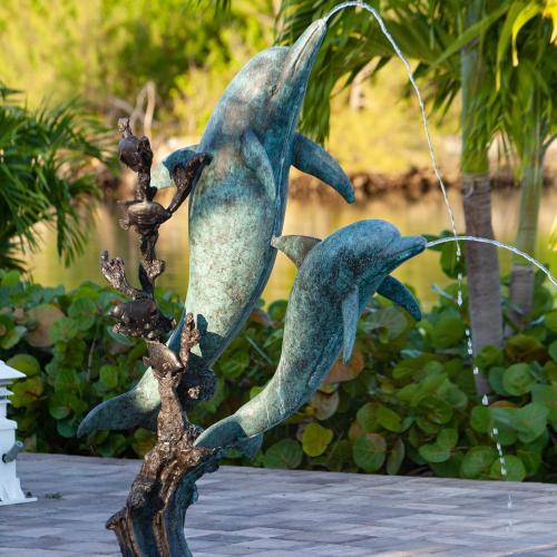 Image of Dolphin Cove