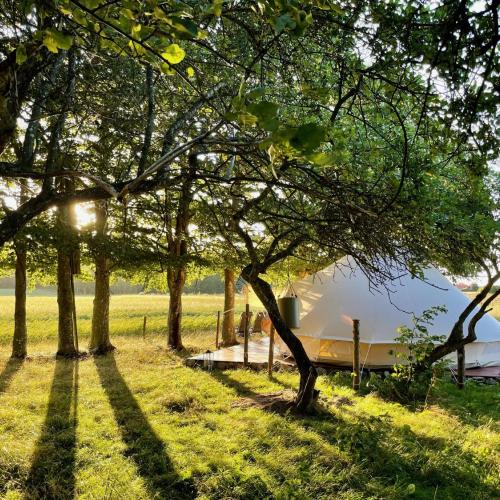 Image of Under Canvas Bornholm