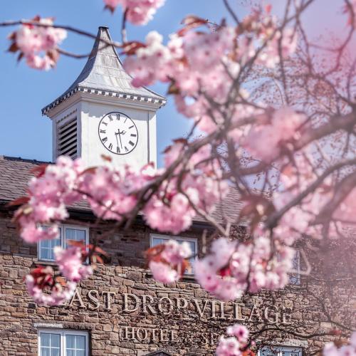 Last Drop Village Hotel & Spa