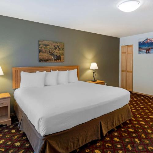 Image of Best Western King Salmon Inn
