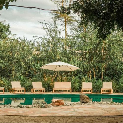 Image of The Jungle Pearl Resort