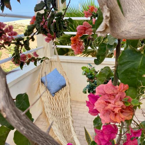 Image of Terra Kriola