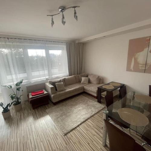 Image of VIP Apartment Kolorowa