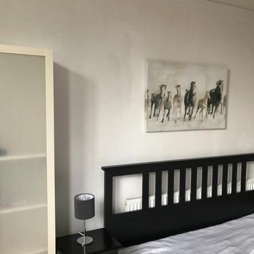 Image of Budget room en-suite 8mins walk to Singleton Hospital, R3