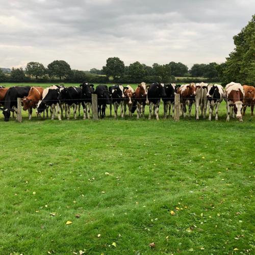 Image of Dorfblick vom Muckesberg