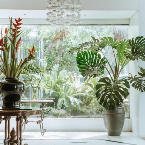 Image of Sugarland Hotel