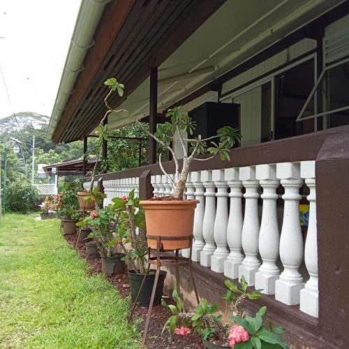 Image of Ravehei smile relais 3 Huahine