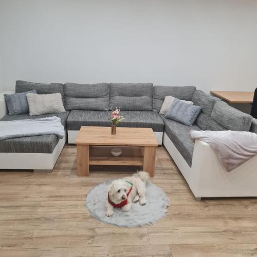 Image of Dom pri rieke s parkovan�m