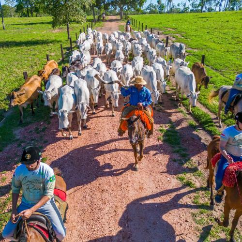 Pousada Pantanal Experiência em Miranda, MS - pousada e hospedagem