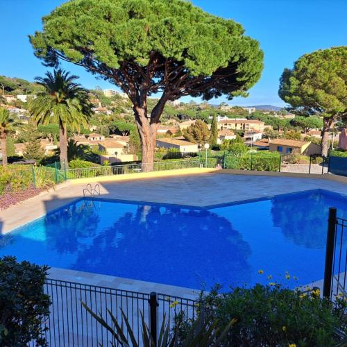 Image of Mazet 45 m2 avec vue mer