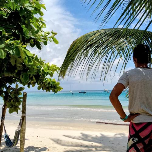 Image of Barook Chalet