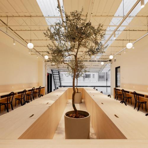 Hi Cozy International Hostel East Nanjing Road & The Bund & 24h English Services