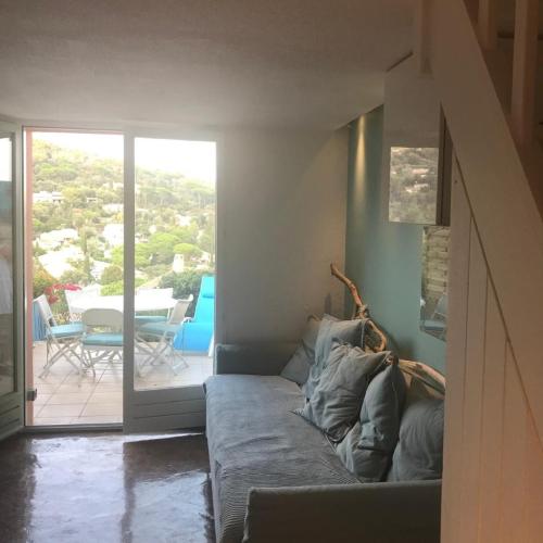 Image of petit mazet