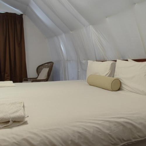 Image of Desert Breeze