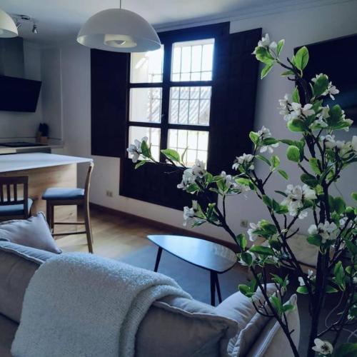 Apartamento Palacio de los Burgo