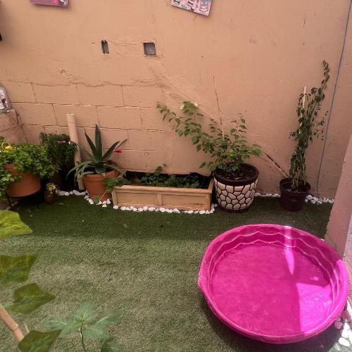 Image of La casa de Bruno hotel canino