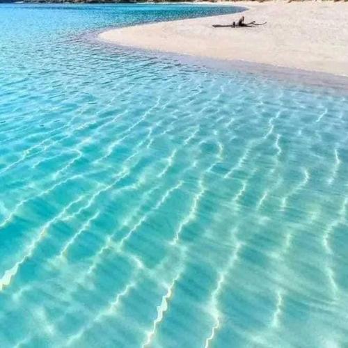 Image of ??? ???? ?????? ??? ??? ???????? ??? ??? ???? ???? ??? ??????? ?