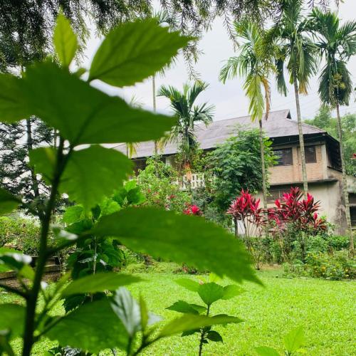 Image of Himmat Guri Farmstead - Great place to chill with family