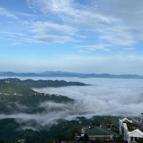 Image of The Local Guest House