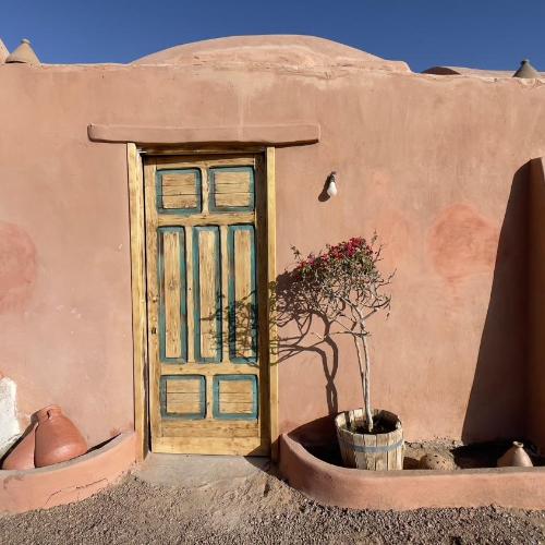 Image of Massel Belosso