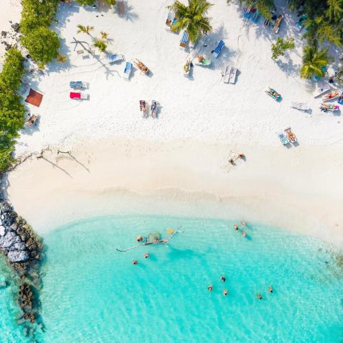 Pavona Maldives