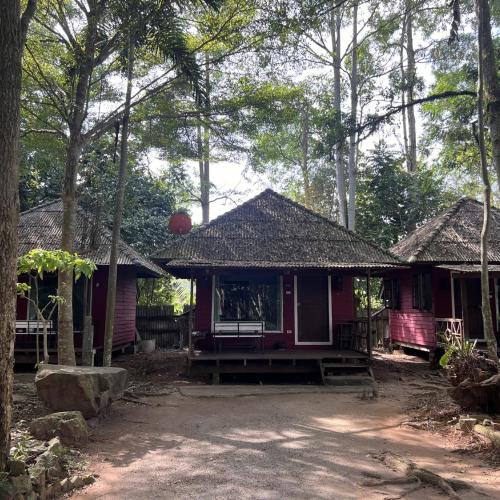 Image of Pang Mai Resort