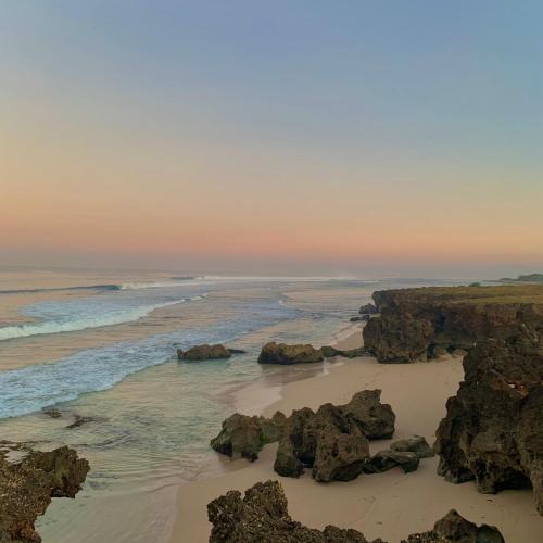 Image of Sinar