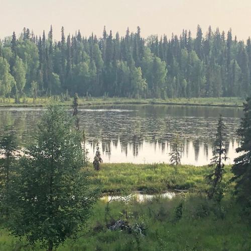Image of Scout Lake Adventures - LAKE FRONT fishing avail