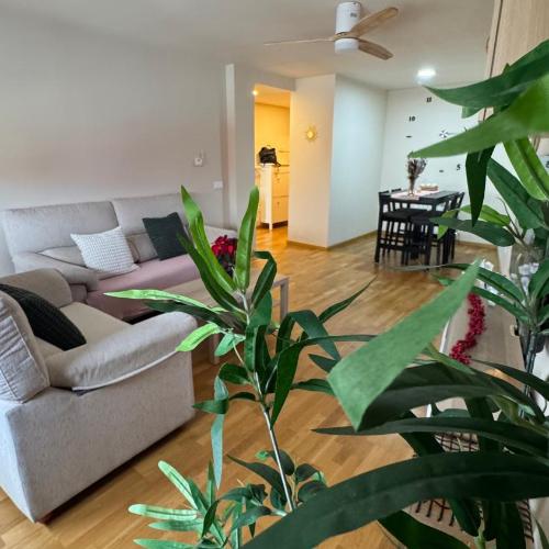 Apartamentos Suites Iscar