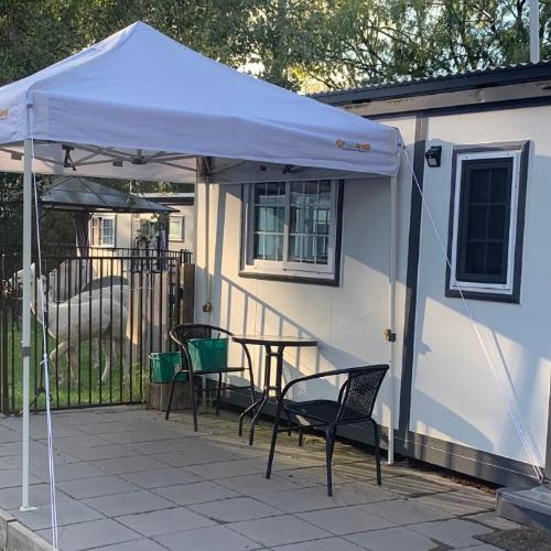 Image of Blue Sapphire Pet Friendly Studio