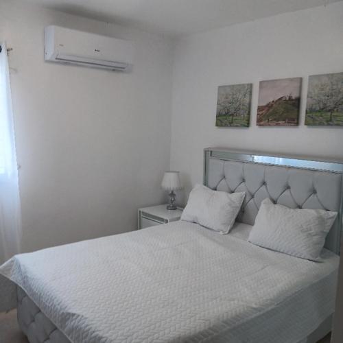 Image of Amazing Apartment