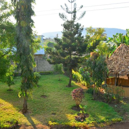 Image of KijijiShamba Kartel