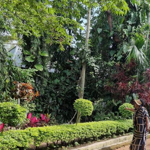 Image of Botanic Hideaway Home, 5km from Mwanza airport