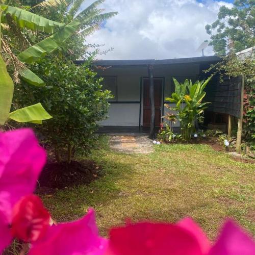 Image of Caba�as Paritakeo