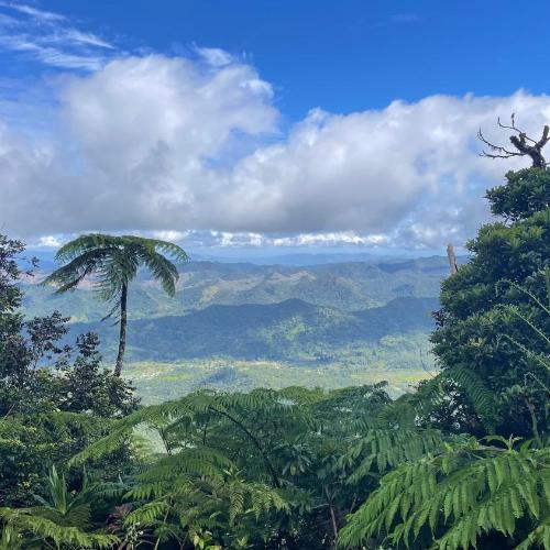 Village Stay Fiji at Navai Village Fiji