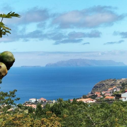 Image of Casa da madeira