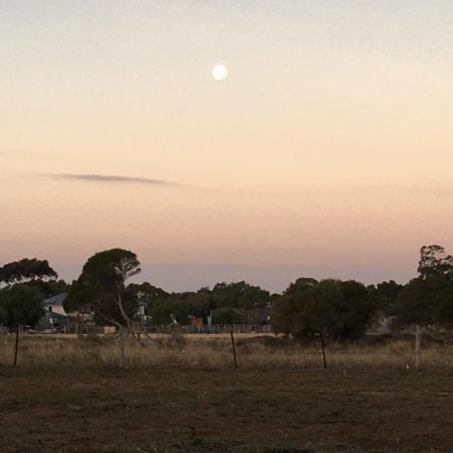 Image of Spirit of Tasmania Stopover 3 secure DIDO sites SC Motor Homes R