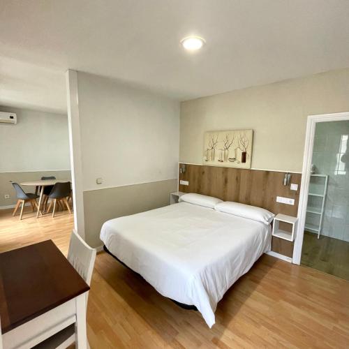 Apartamentos Mayor Centro