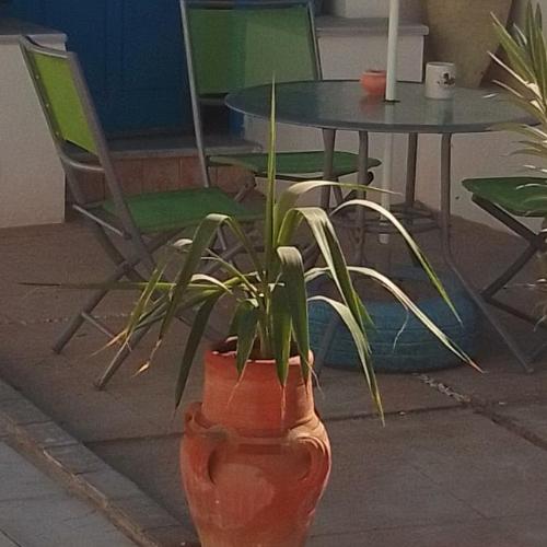 Image of Villa � houmet souk