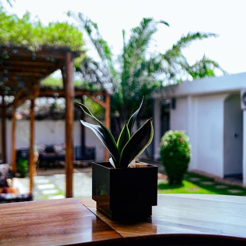 Image of Ahom� Guest house & Lounge