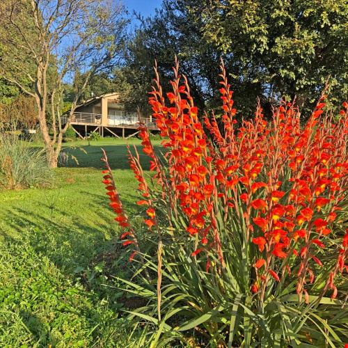 Image of Hills and Dales Accommodation