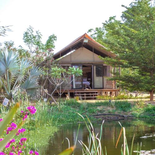 Image of Le Lodge des Papillons - Tente 