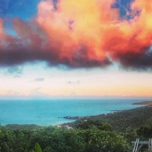 Image of Casita Orquidea