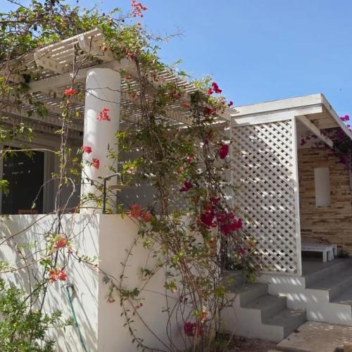 Image of Praia de Chaves Bungalow ,Boavista