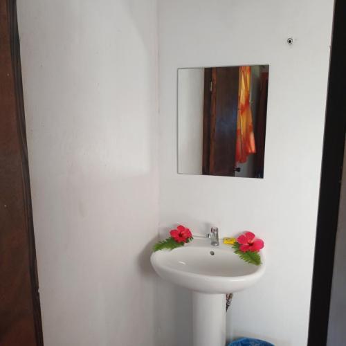 Image of Moemoe Location